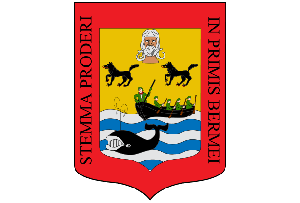 Rastreador de Seguros en Bermeo