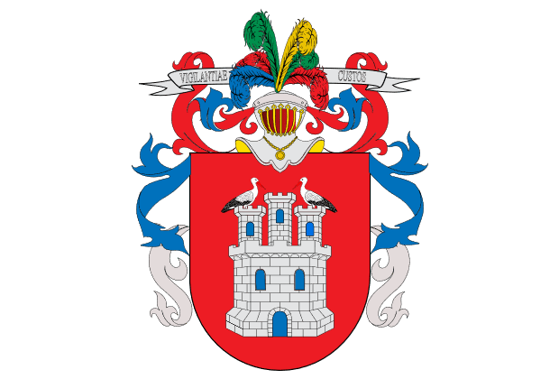 Rastreador de Seguros en Irun