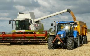 Tipos de seguros de Cabezas Tractoras