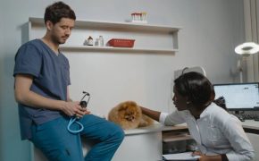 seguros veterinarios para perros